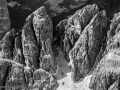 IMG_1073cime-BN