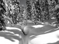 Neve-e-buchi