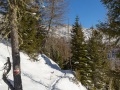 MY9A1847traccia-nella-neve