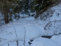 MY9A1864Nel-Bosco