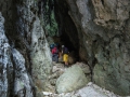 Nel budello