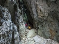 Il budello